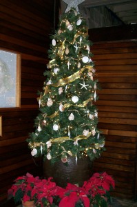 christmasathuggos
