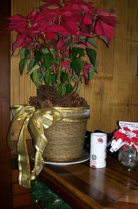 huggos decked for holidays