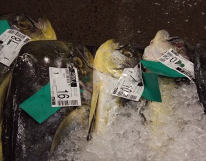 huggos Fish Auction Mahi Mahi