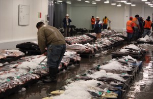 huggos Fish Auction Scene